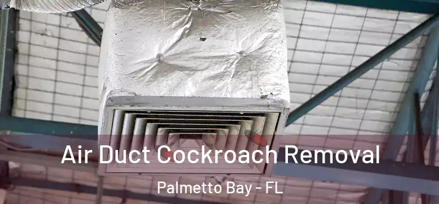  Air Duct Cockroach Removal Palmetto Bay - FL
