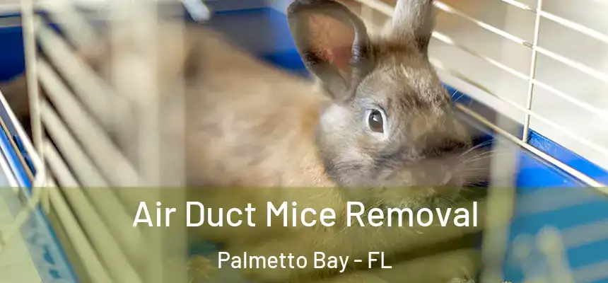  Air Duct Mice Removal Palmetto Bay - FL
