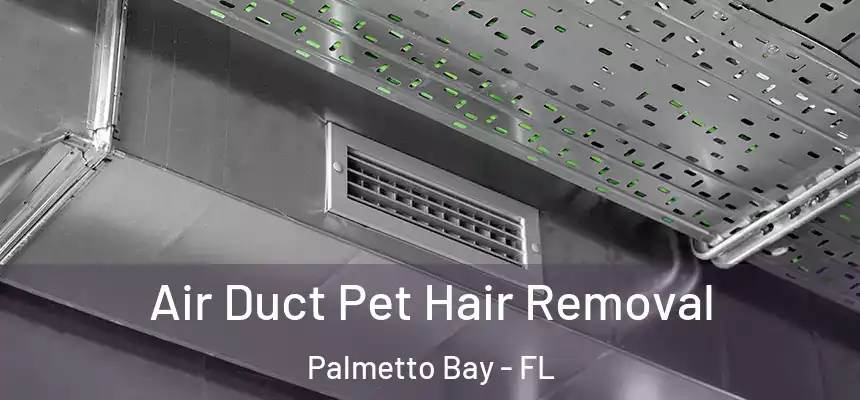  Air Duct Pet Hair Removal Palmetto Bay - FL