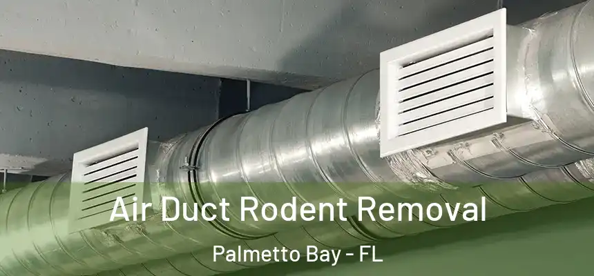  Air Duct Rodent Removal Palmetto Bay - FL