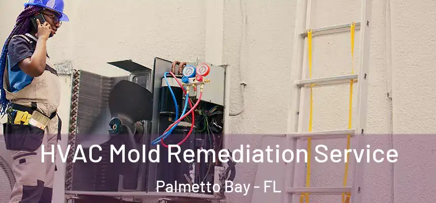 HVAC Mold Remediation Service Palmetto Bay - FL