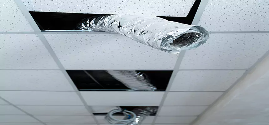 Our Air Duct Pet Hair Removal Services in Palmetto Bay, FL