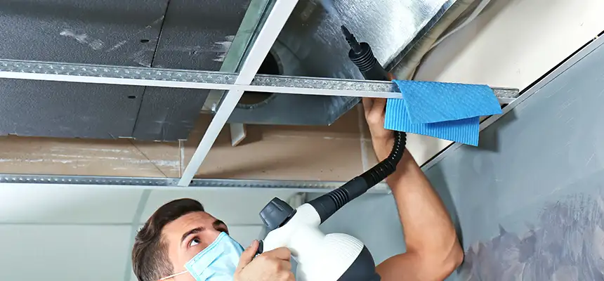 Our Air Duct Rodent Removal Services in Palmetto Bay, FL