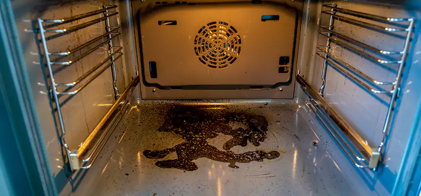 Our Dryer Vent Mold Cleaning Services in Palmetto Bay, FL