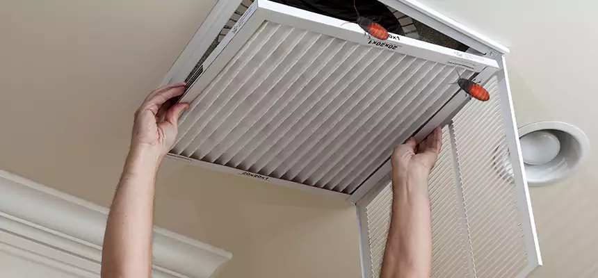 Our Insect Removal from Air Ducts Services in Palmetto Bay, FL