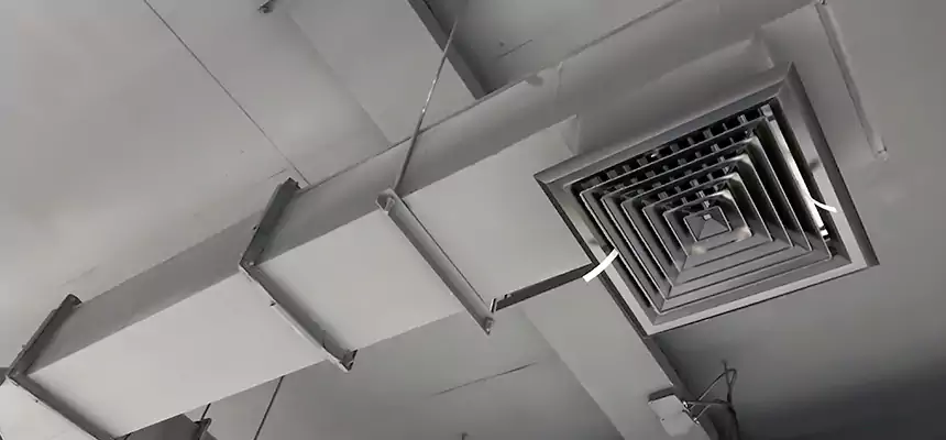 Our Rodent Droppings In Vents Services in Palmetto Bay, FL