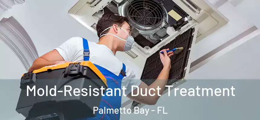  Mold-Resistant Duct Treatment Palmetto Bay - FL