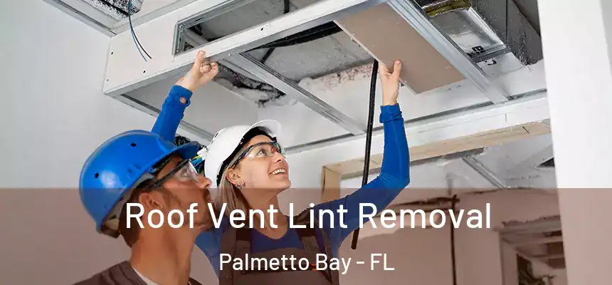  Roof Vent Lint Removal Palmetto Bay - FL