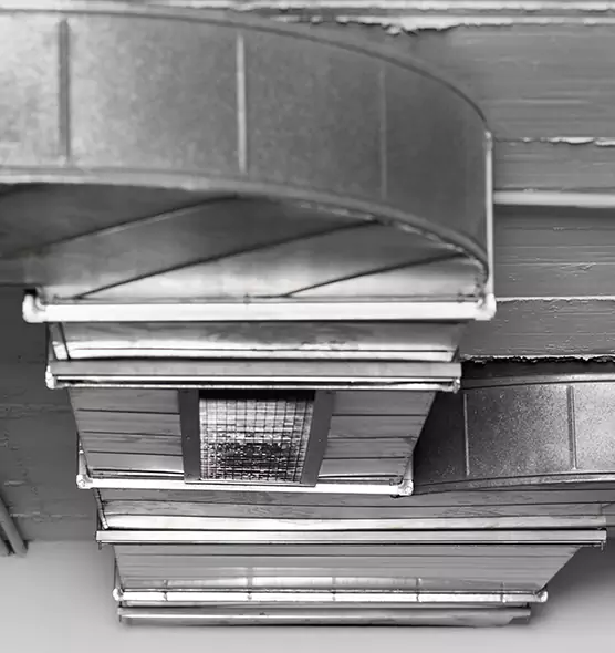 Professional Air Duct Pest Removal in Palmetto Bay, FL