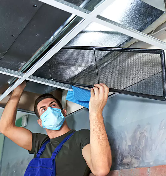 Professional Air Duct Pollen Cleaning in Palmetto Bay, FL