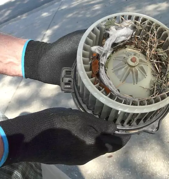 About Air Duct Rat Removal in Palmetto Bay, FL