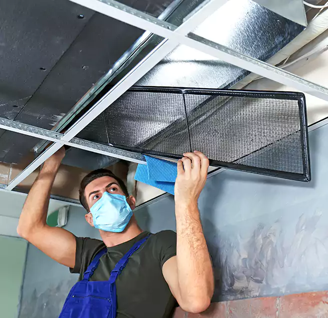 Why Homeowners Businesses Trust Us in Palmetto Bay, FL