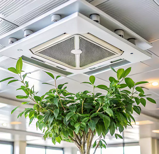 Why Homeowners & Businesses Trust Us in Palmetto Bay, FL