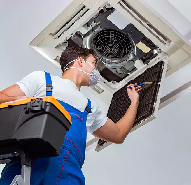 Why Homeowners & Businesses Trust Us in Palmetto Bay, FL?