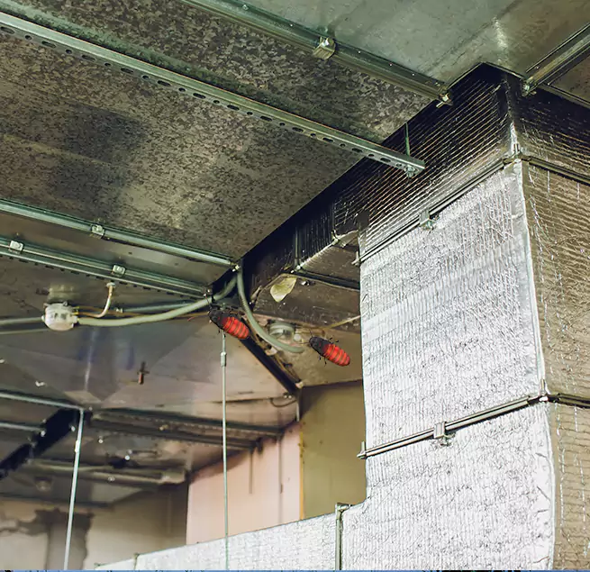 Why Homeowners & Businesses Trust Us Palmetto Bay, FL?