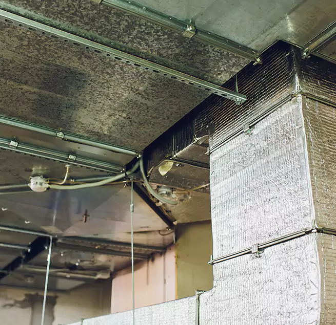 Why Homeowners & Businesses Trust Us in Palmetto Bay, FL?