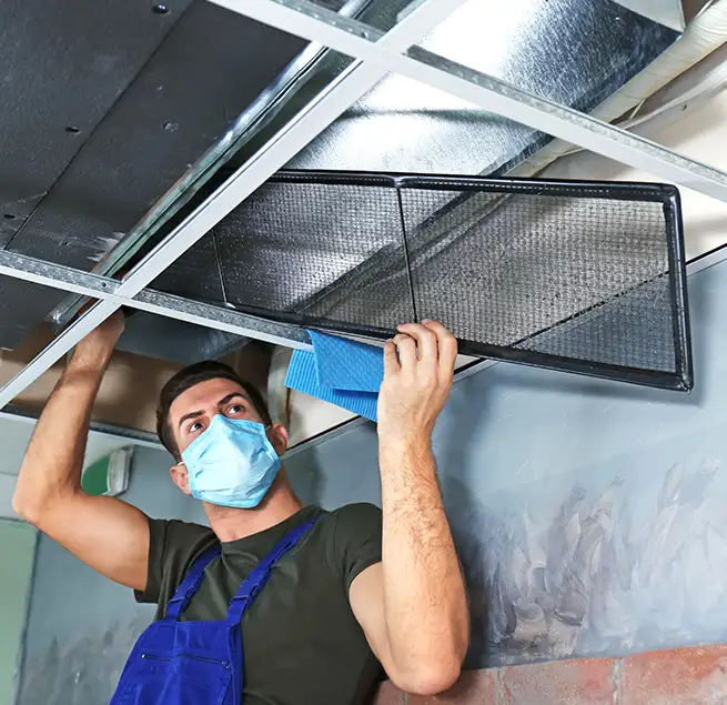 Why Homeowners & Businesses Trust Us in Palmetto Bay, FL?